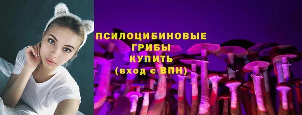 ECSTASY Пролетарск