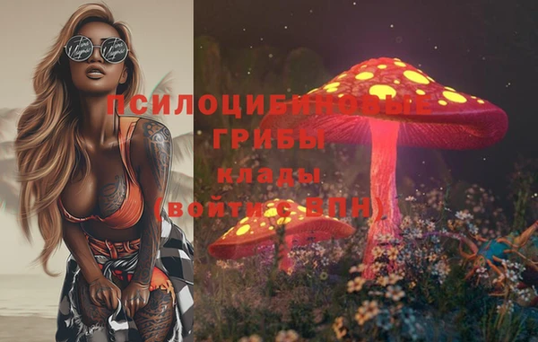 сатива Приозерск