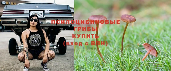 сатива Приозерск