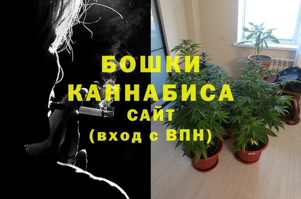 ECSTASY Пролетарск