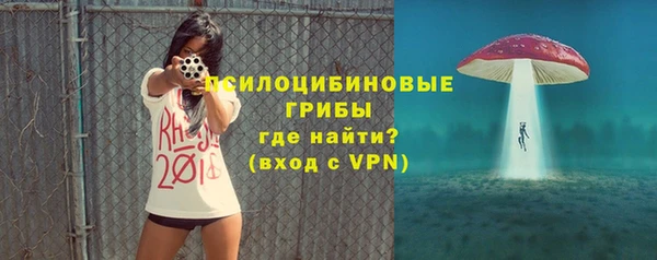 сатива Приозерск